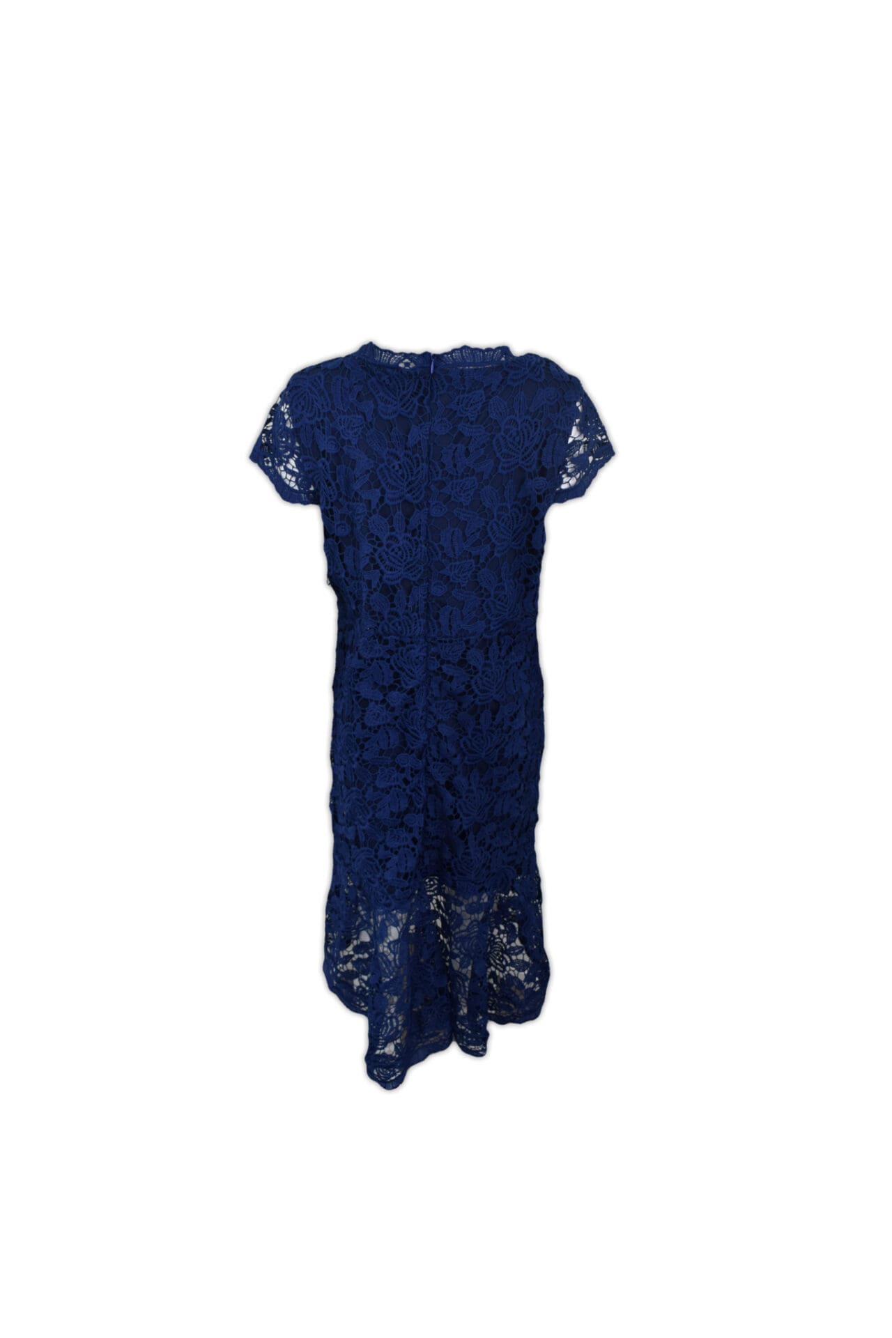 Large, navy lace, formal dress with scalloped edges and a v-neck.